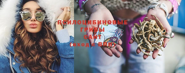 прущая мука Заводоуковск