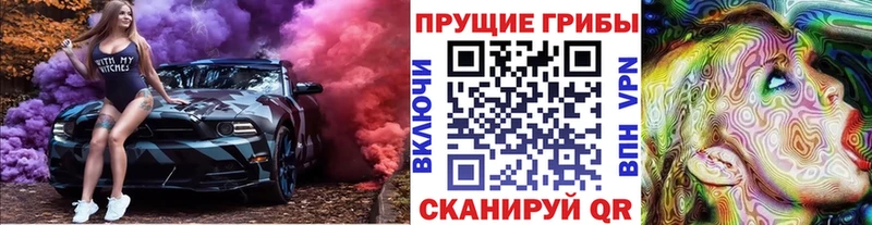 где продают   Зеленокумск  Псилоцибиновые грибы GOLDEN TEACHER 