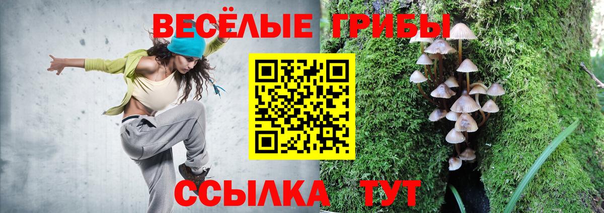 Зеленокумск  Псилоцибиновые грибы GOLDEN TEACHER  Вход с VPN  Псилоцибиновые грибы мицелий 